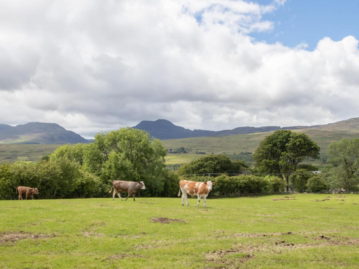 Hendre Cottage Trawsfynydd ภายนอก รูปภาพ